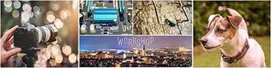 Fotografie-Workshops: Technik, Kreativität und Bildgestaltung lernen Collage, die verschiedene Themen eines Fotografie-Workshops visualisiert: Kamera, Hund, Käfer, Computerplatine und Nachtansicht der Stadt Erfurt. Symbolisiert Fotografie-Kurse und Workshops.