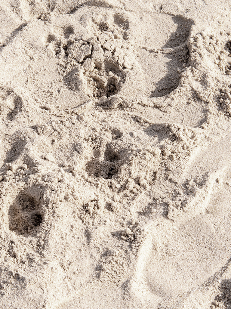 Landschaftsaufnahme Fußspuren im Sand