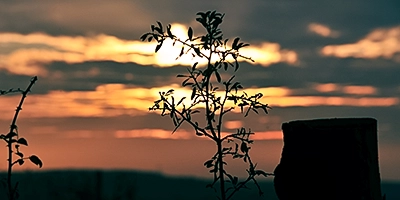 Gegenlichtaufnahme am Sonnenuntergang mit link zur Seite Anfänger Foto Workshop