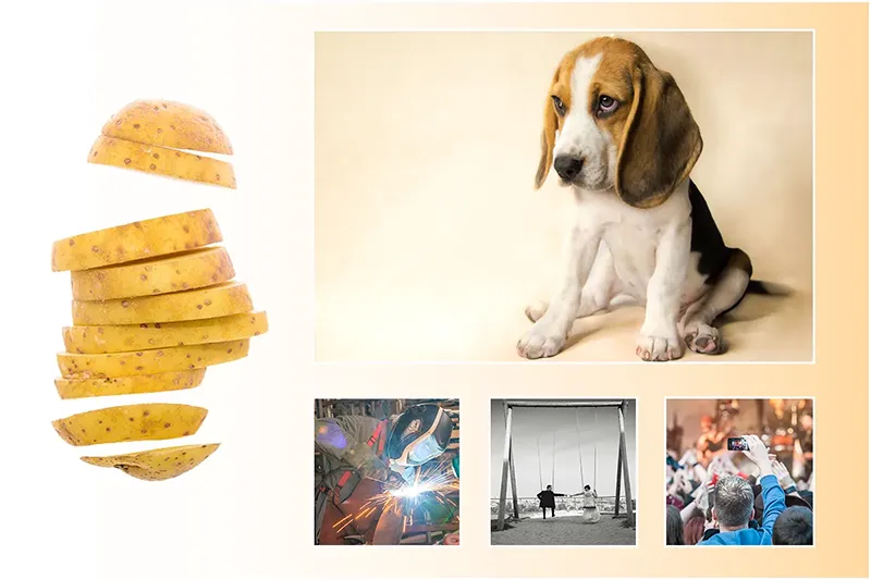 Ausschnitte Portfolio – Fotograf Michael Schalansky Erfurt Aktionsbanner mit Ausschnitten aus meinem Portfolio von Fotograf Michael Schalansky in Erfurt.